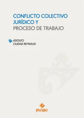 CONFLICTO COLECTIVO JURÍDICO Y PROCESO DE TRABAJO