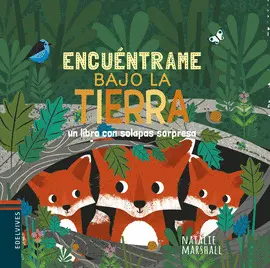 ENCUÉNTRAME BAJO LA TIERRA