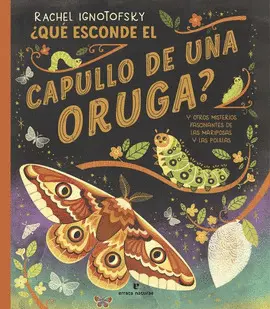 ¿QUE ESCONDE EL CAPULLO DE UNA ORUGA?